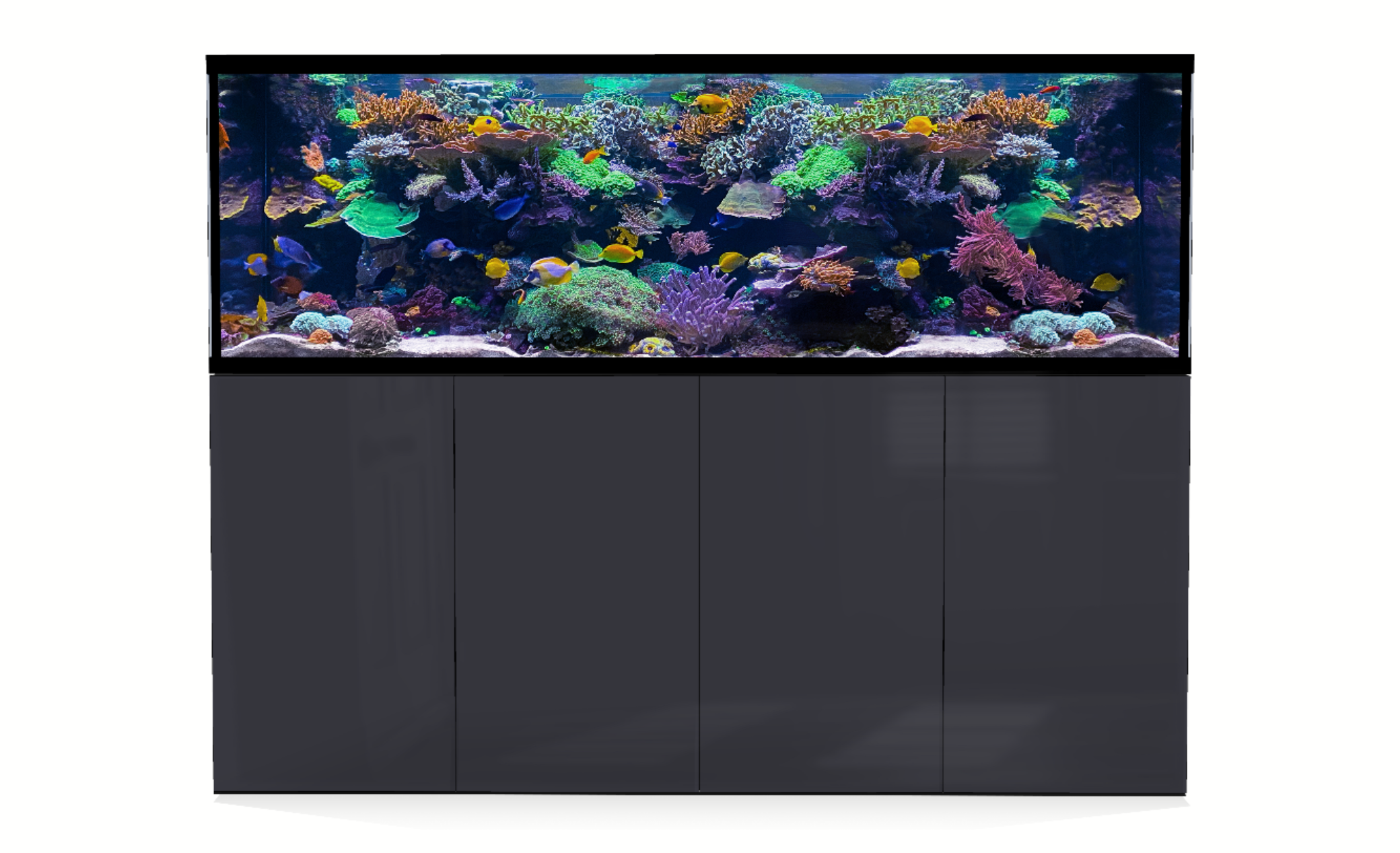 *NEU* D-D AQUA-Pro Reef 2100 Metal Frame Anthracite Gloss Aquariumsystem 210x65x68cm