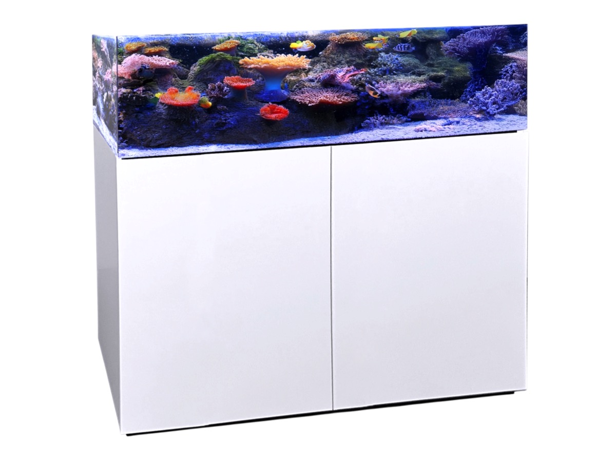 Kopie von *NEU* Aqua Medic Armatus Lagoon 300 weiß 100x65x40 cm #1