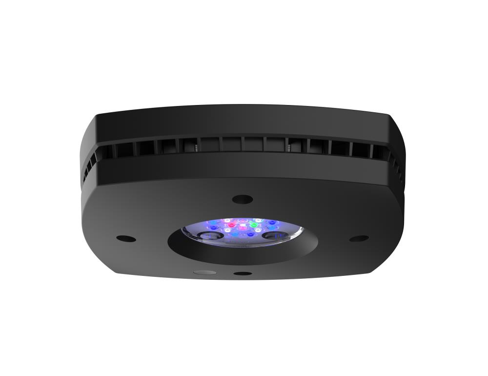 AI Prime 16HD Reef LED schwarz