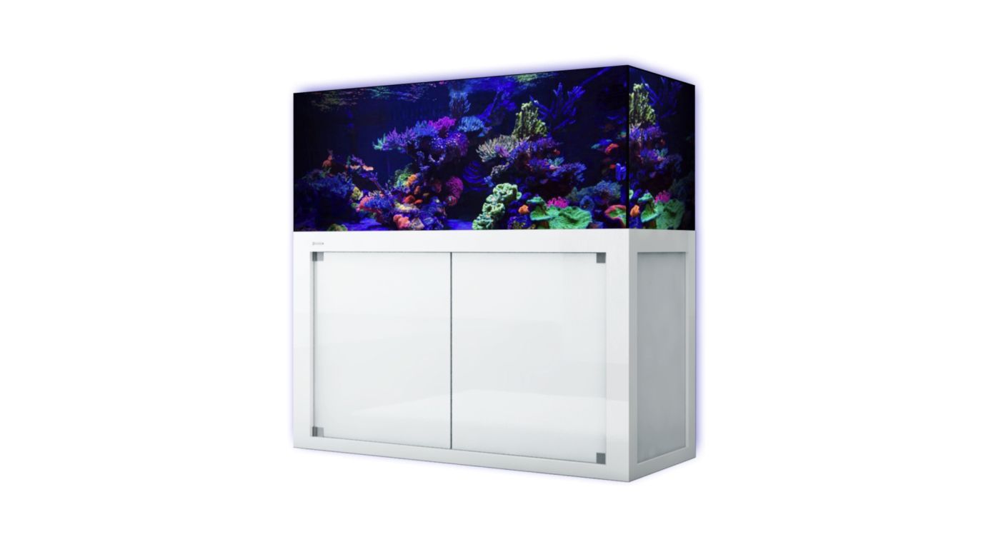 Giesemann LINEA 85/160 Aquarium 160x60x55cm COMPLETE (inkl. 3x TESZLA evo) WHITELINE kein Extrawunsch kein Extrawunsch