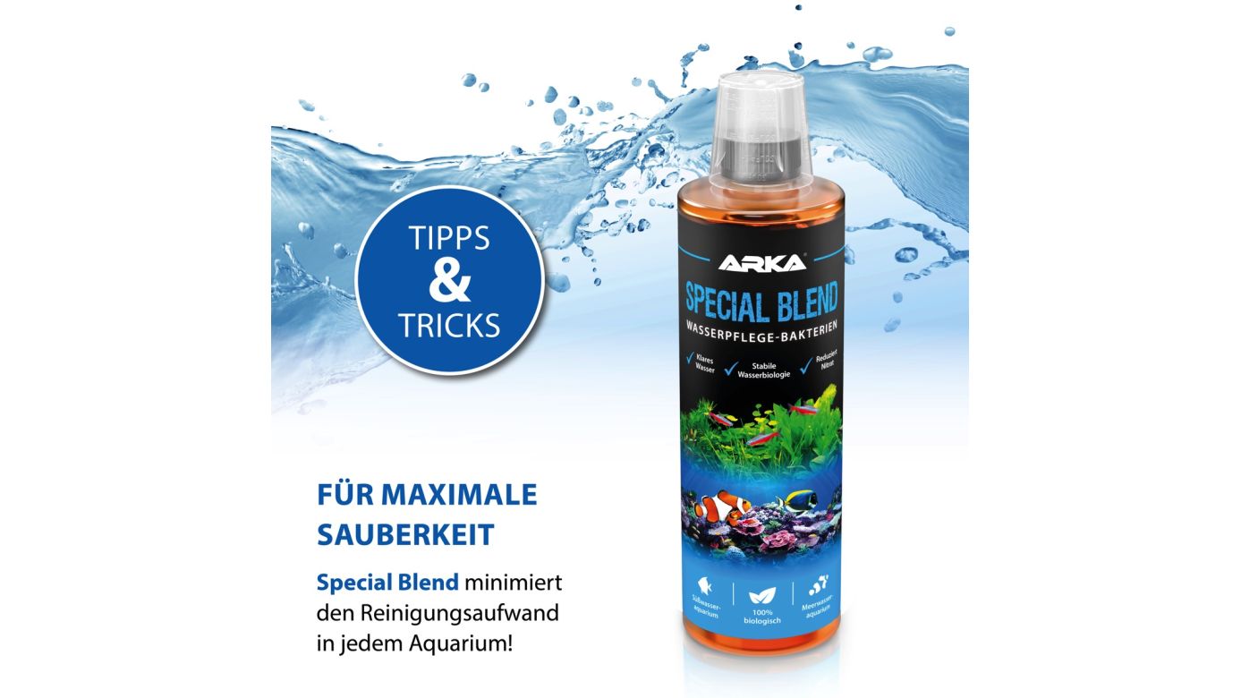 ARKA Gel Starter Filter Starter 473 ml