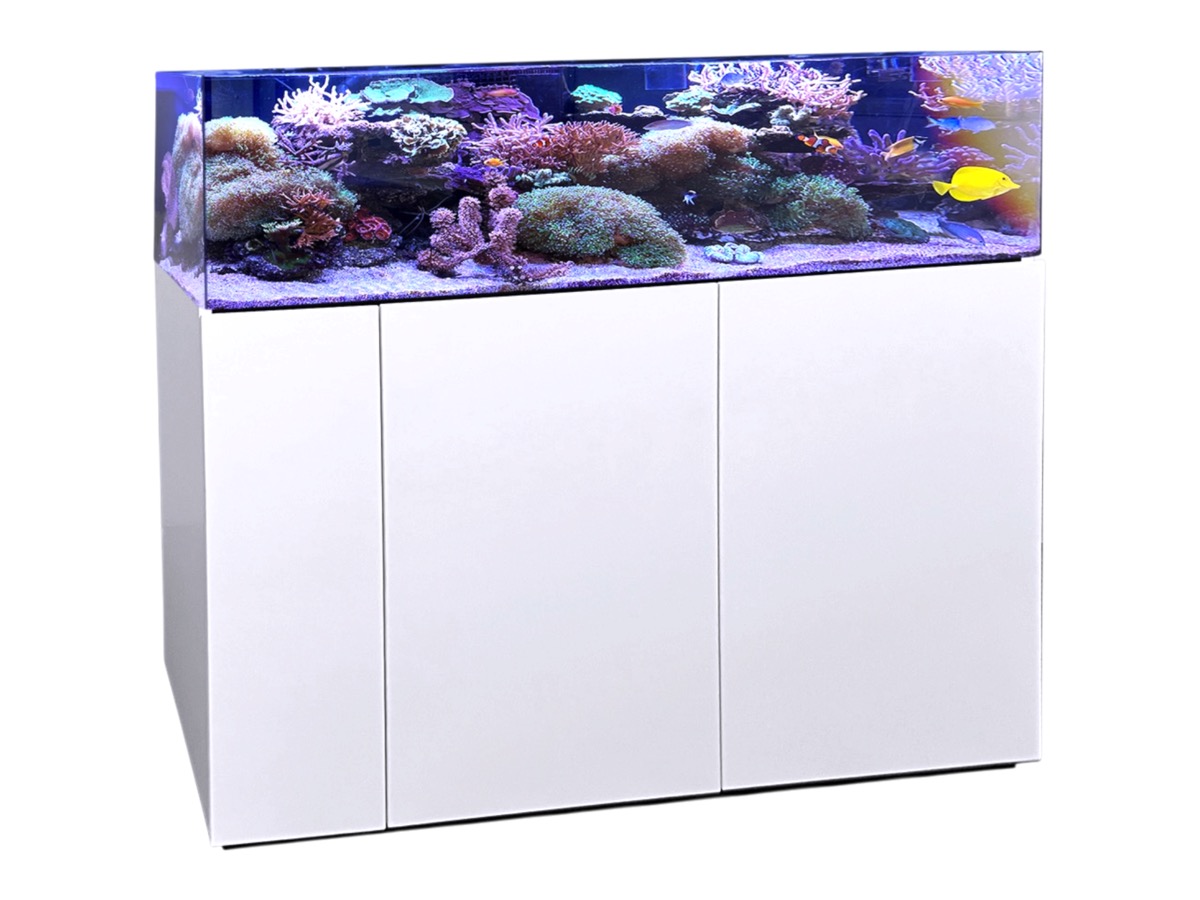 *NEU* Aqua Medic Armatus Lagoon 350 weiß 120x65x40 cm