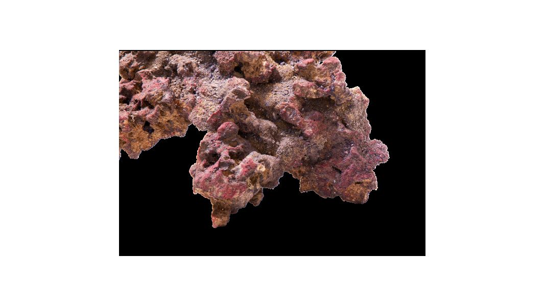 CaribSea LifeRock XL Arch (1 Bogen ca. 61cm)