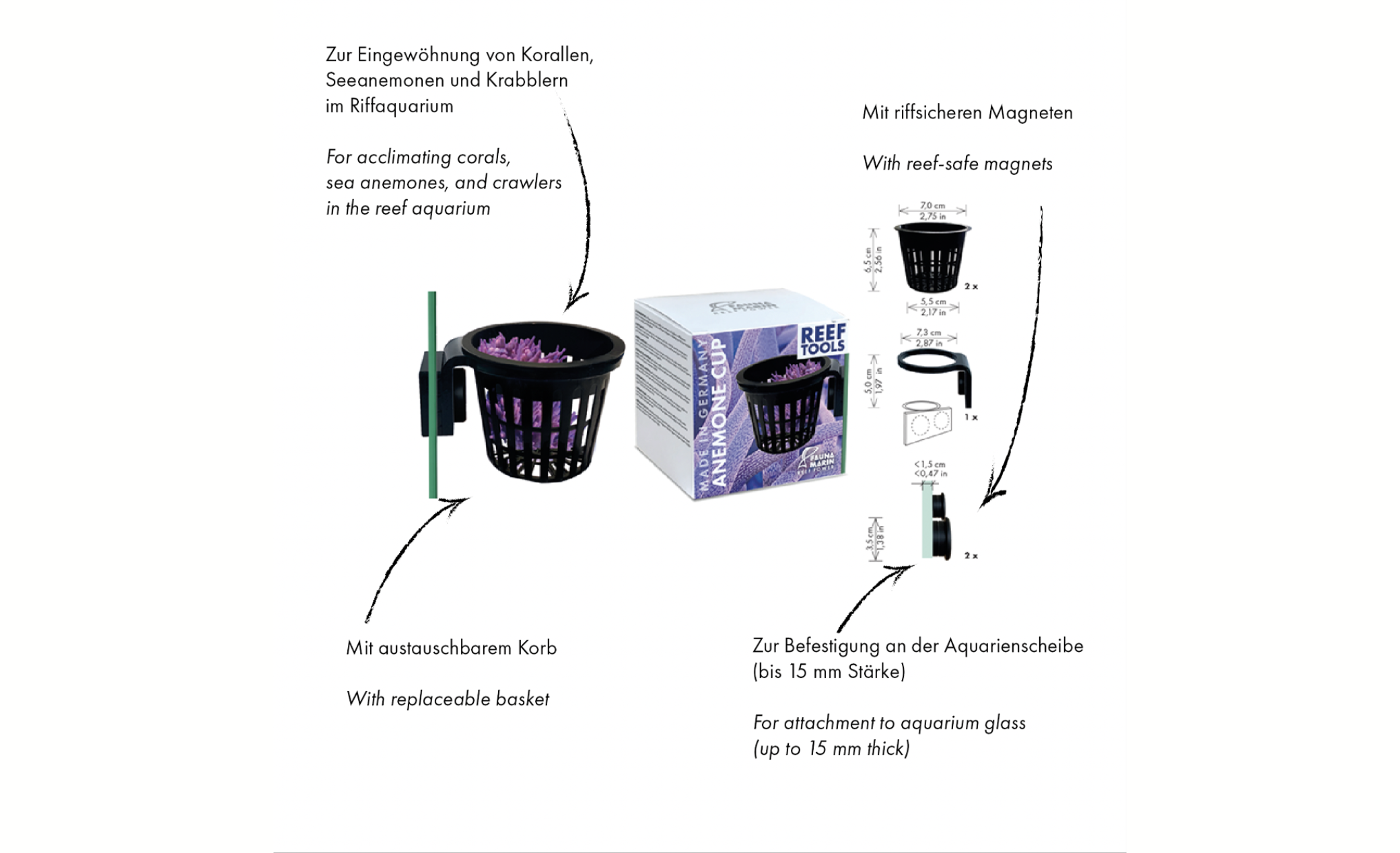 Fauna Marin Anemone Cup Korb zur Eingewöhnung von Korallen, Seeanemonen und Krabblern