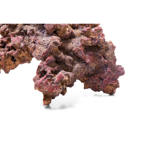 CaribSea LifeRock XL Arch (1 Bogen ca. 61cm)