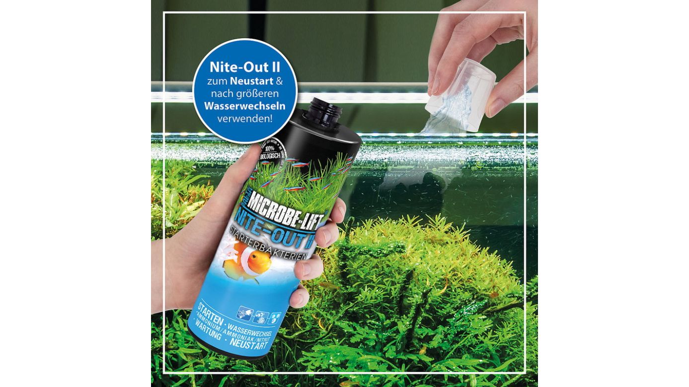 Microbe-Lift Nite-Out II Starterbakterien 473ml