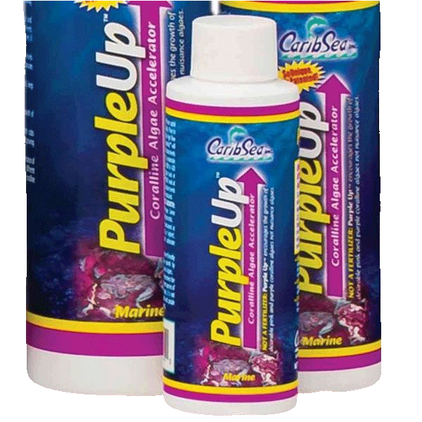 CaribSea Purple Up Kalkrotalgen und Korallen Booster 473 ml