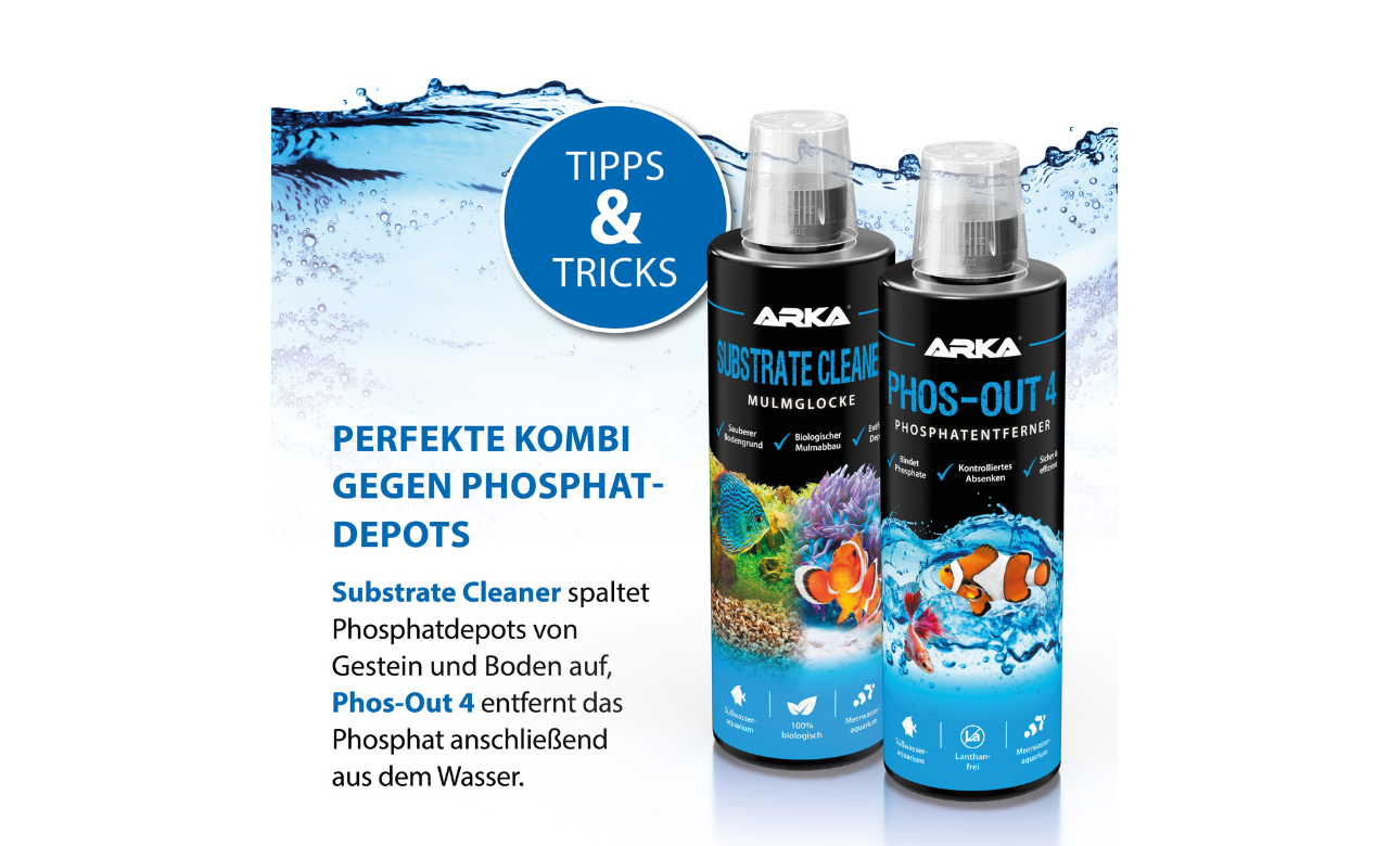 ARKA Phos-Out 4 flüssiger Phosphatentferner 473 ml
