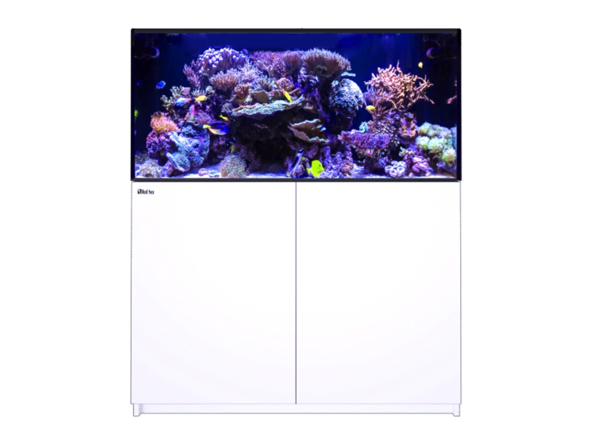 *NEU* Red Sea REEFER 425 System G3 Weiß (R45147)