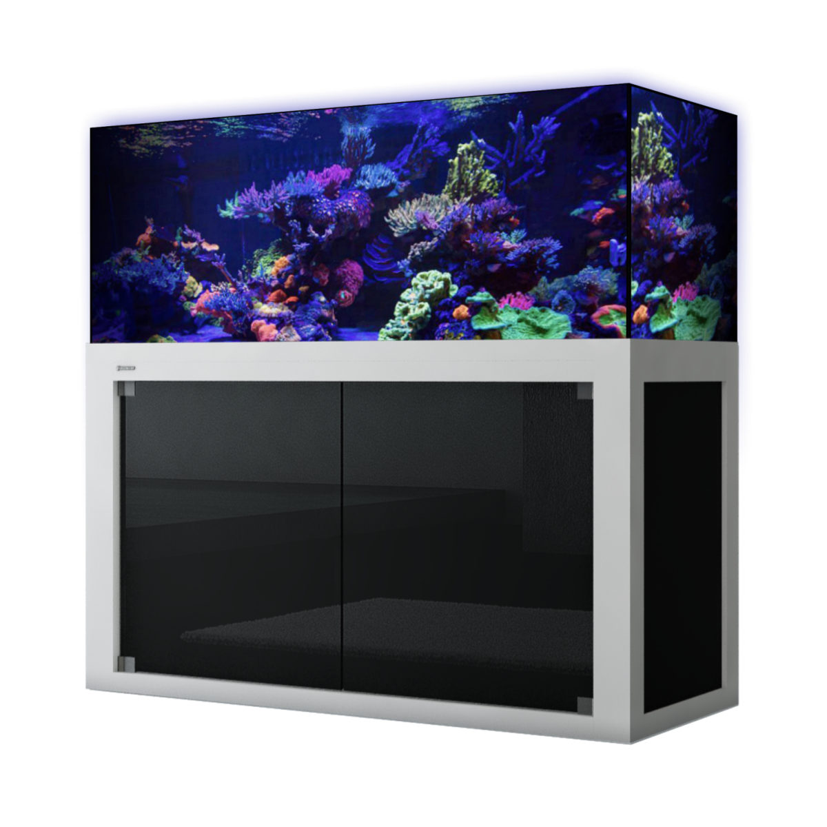Giesemann LINEA 85/160 Aquarium complete 160x60x55cm