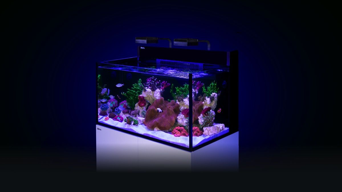 Aussteller: 1x Red Sea MAX NANO G2 XXL inkl. schwarzer Unterschrank (R40090G2-EUR)