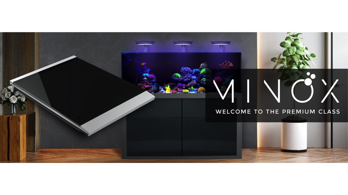 Giesemann LINEA 85/160 Aquarium 160x60x55cm Ohne Leuchten Eigene Farbkombination Titan soft Feinstruktur (+ Aufpreis) Glas hochglanz schwarz