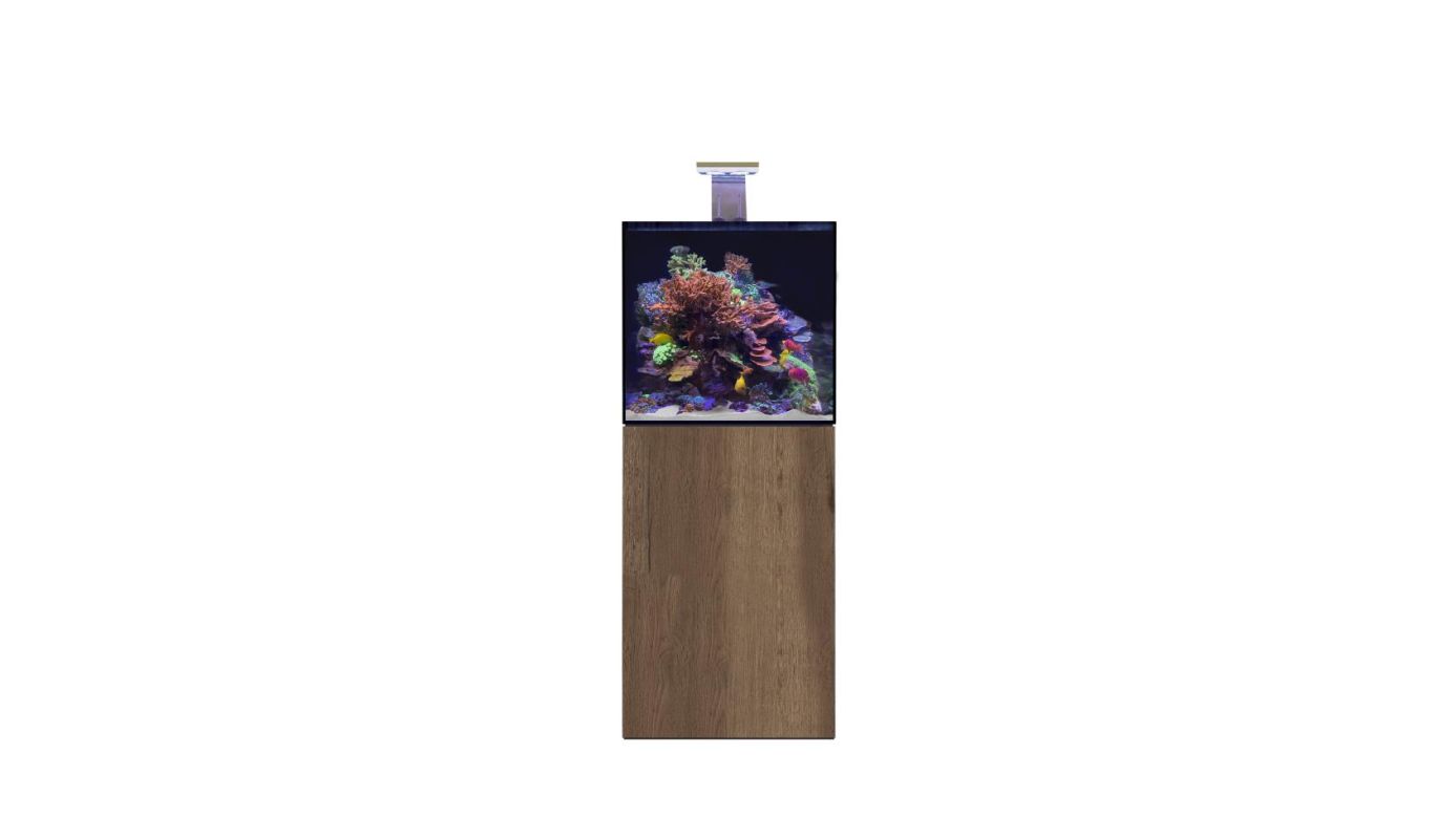 D-D AQUA-Pro Reef 600 Cube Tobacco Oak 60x60x60cm Aquariumsystem mit Holzschrank