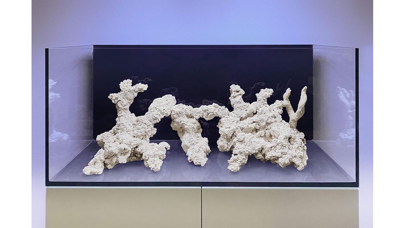 ARKA myReef-Rocks 25-40 cm (XL) 20 kg natürliches Aragonitgestein