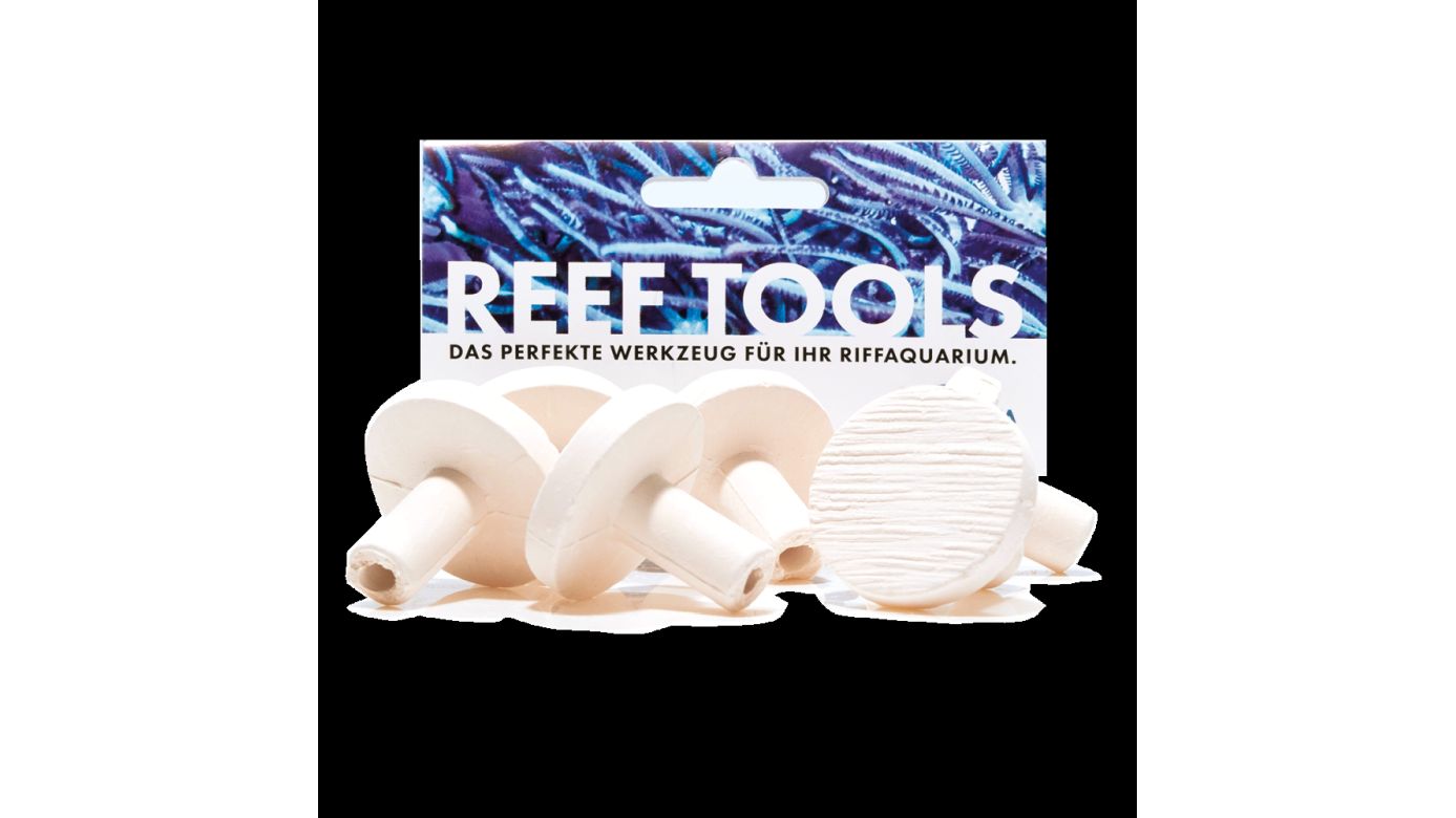 Fauna Marin Maxi Reef Disc Ø 3,3cm Maxi Ablegersteine (6 St.)