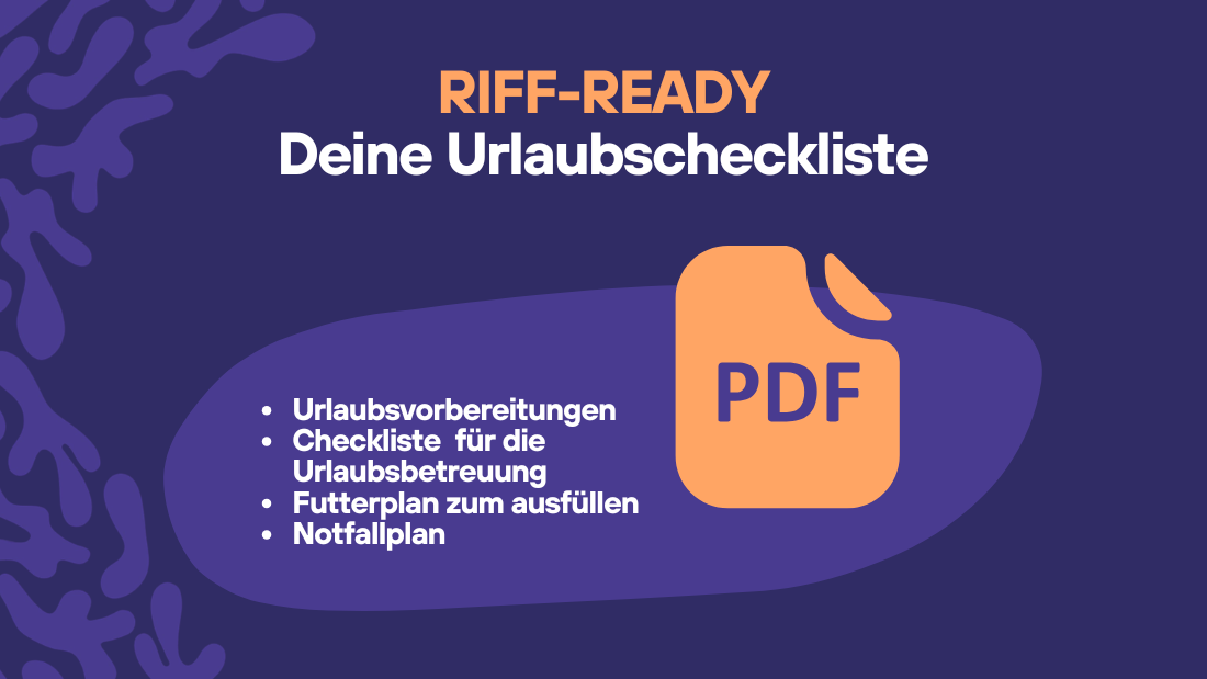 Urlaubscheckliste zum Download