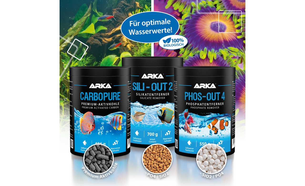 ARKA Sili-Out 2 Silikatentferner 700 g