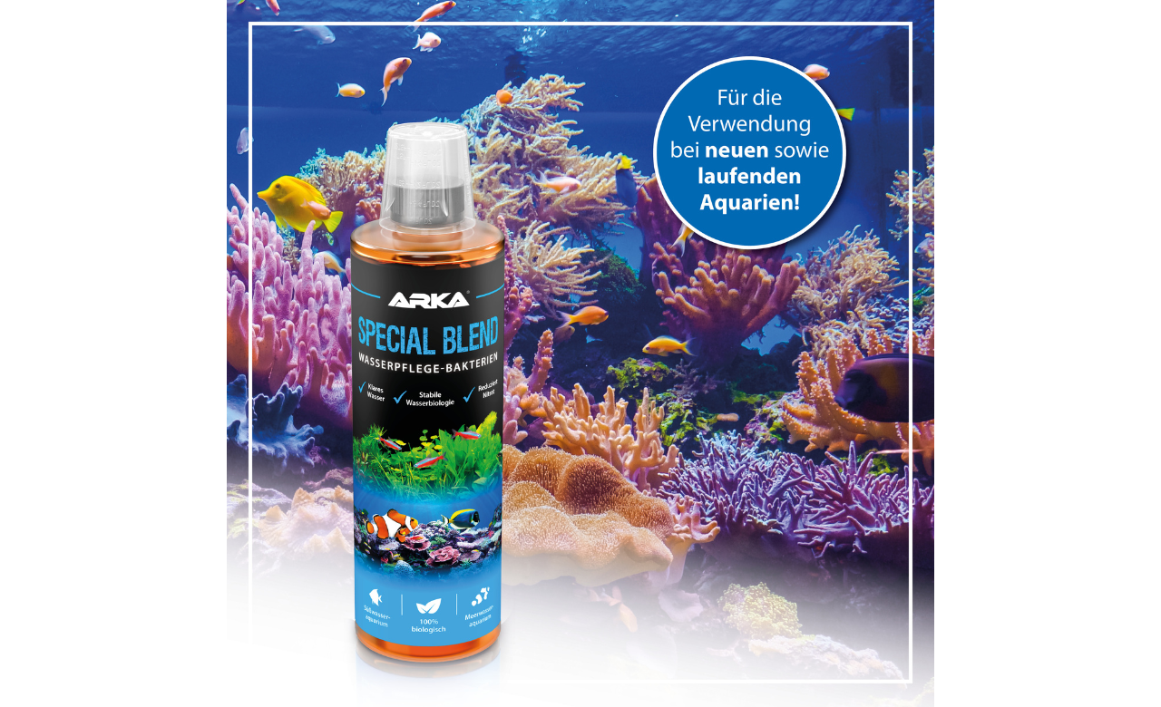 ARKA Special Blend Wasserpflege Bakterienmischung 3,79 l