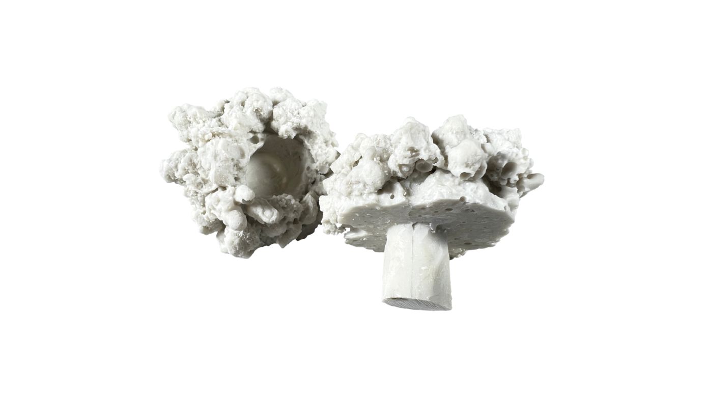 Aqua Medic coral pins Ablegersteine (10 St.)