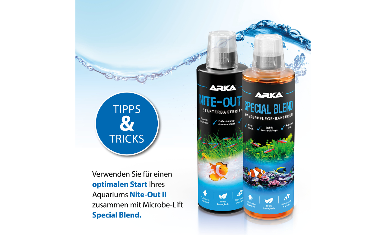 ARKA Nite-Out II 236ml MHD 05/2026