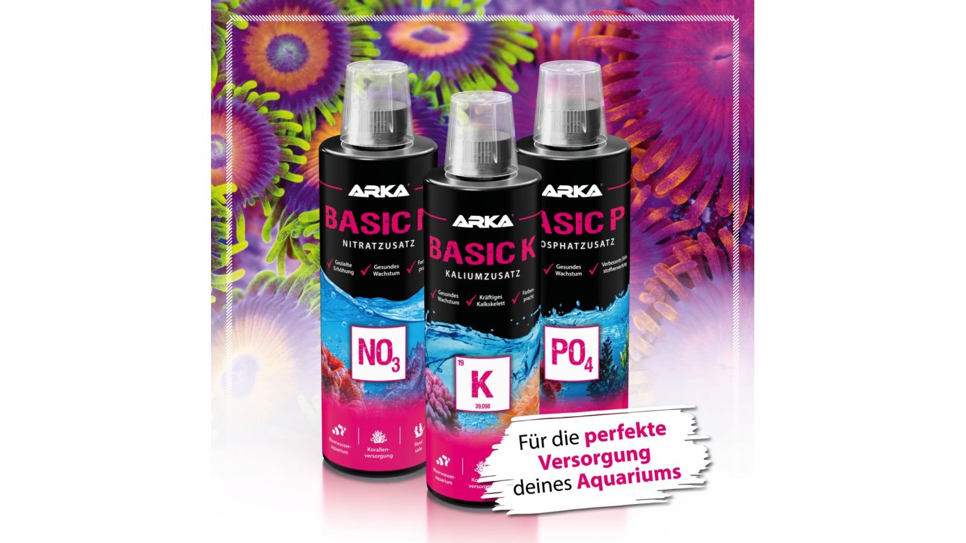 ARKA Basic K Kaliumzusatz 473 ml
