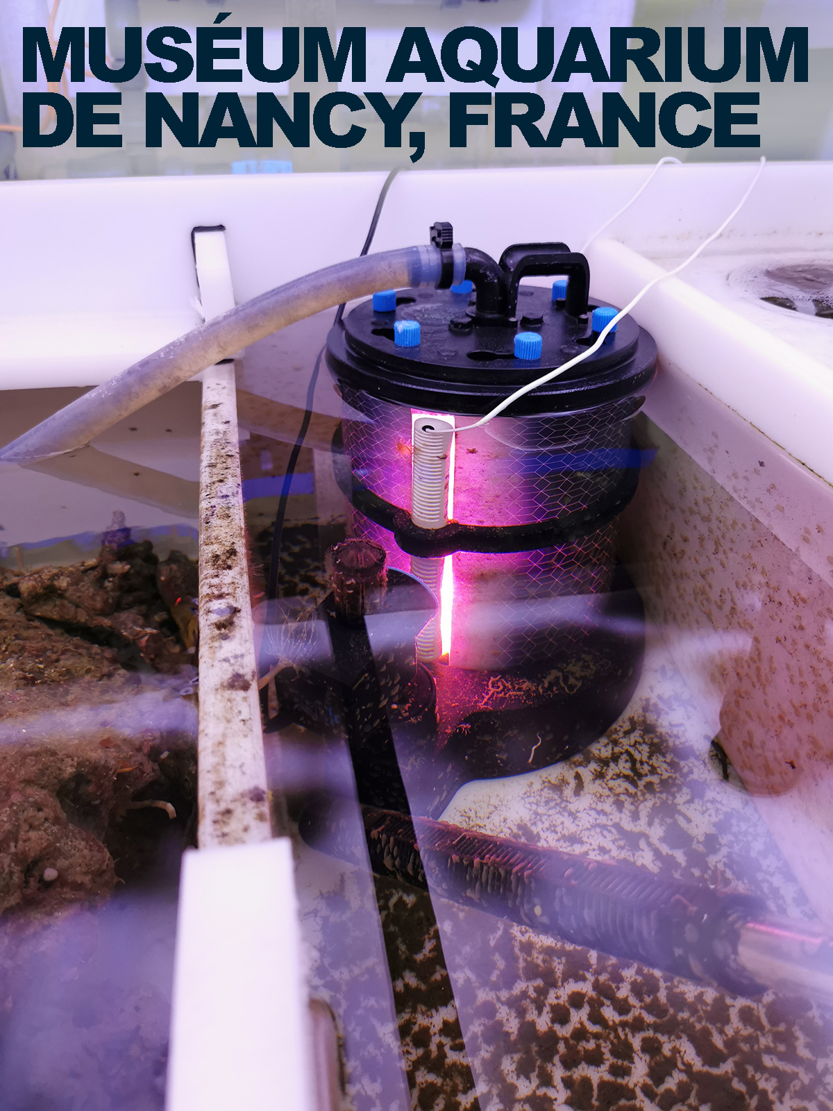 Tunze Macro Algae Reactor Algenreaktor 3182 (bis 1600 L) (3182.000)