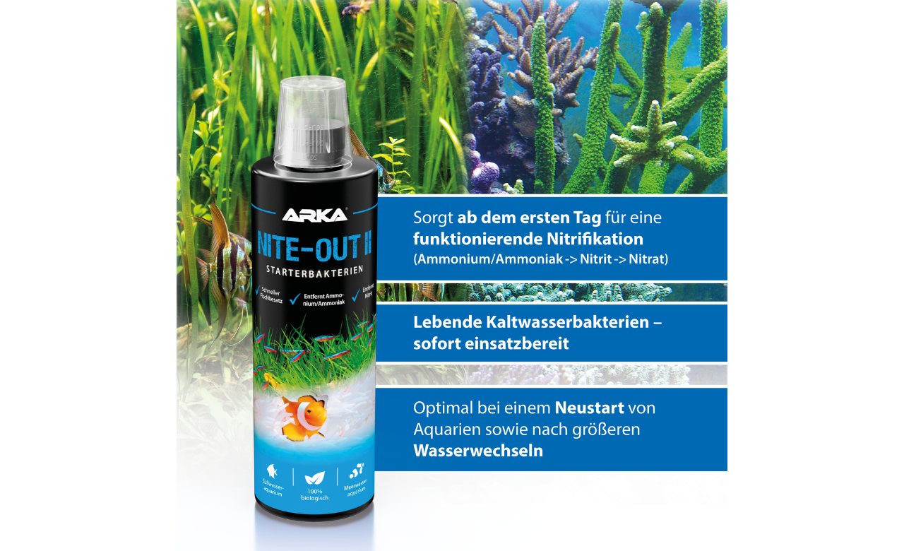 ARKA Nite-Out II Starterbakterien 118ml