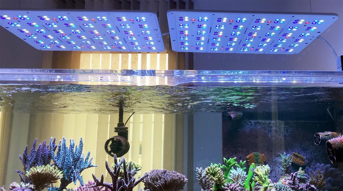 ATI Straton Pro G2 204 LED weiß (max. Ausleuchtung 100x80cm)