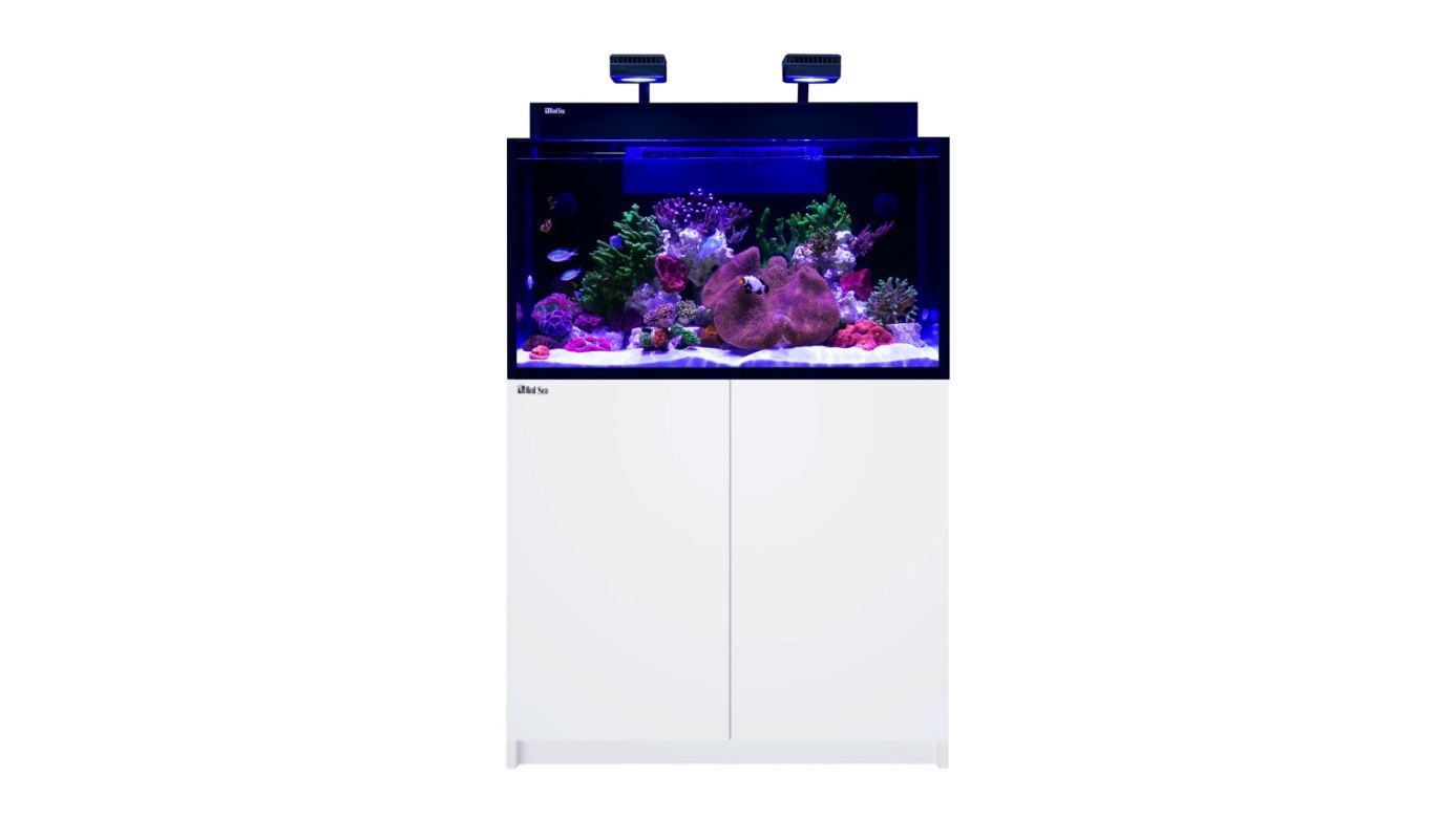 Aussteller: 1x Red Sea MAX NANO G2 XXL inkl. schwarzer Unterschrank (R40090G2-EUR)