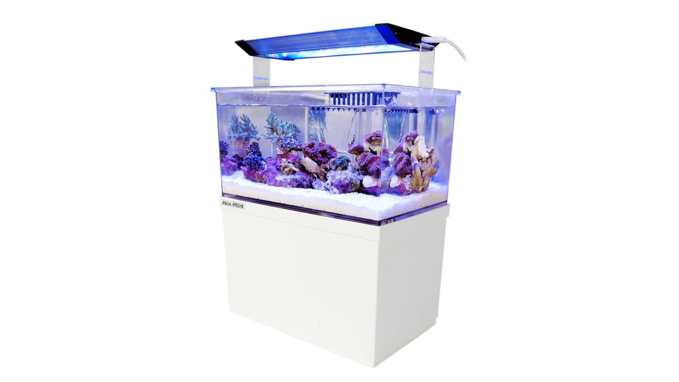Aqua Medic Armatus XS (26,5x17x15 cm) Microaquarium 4 L