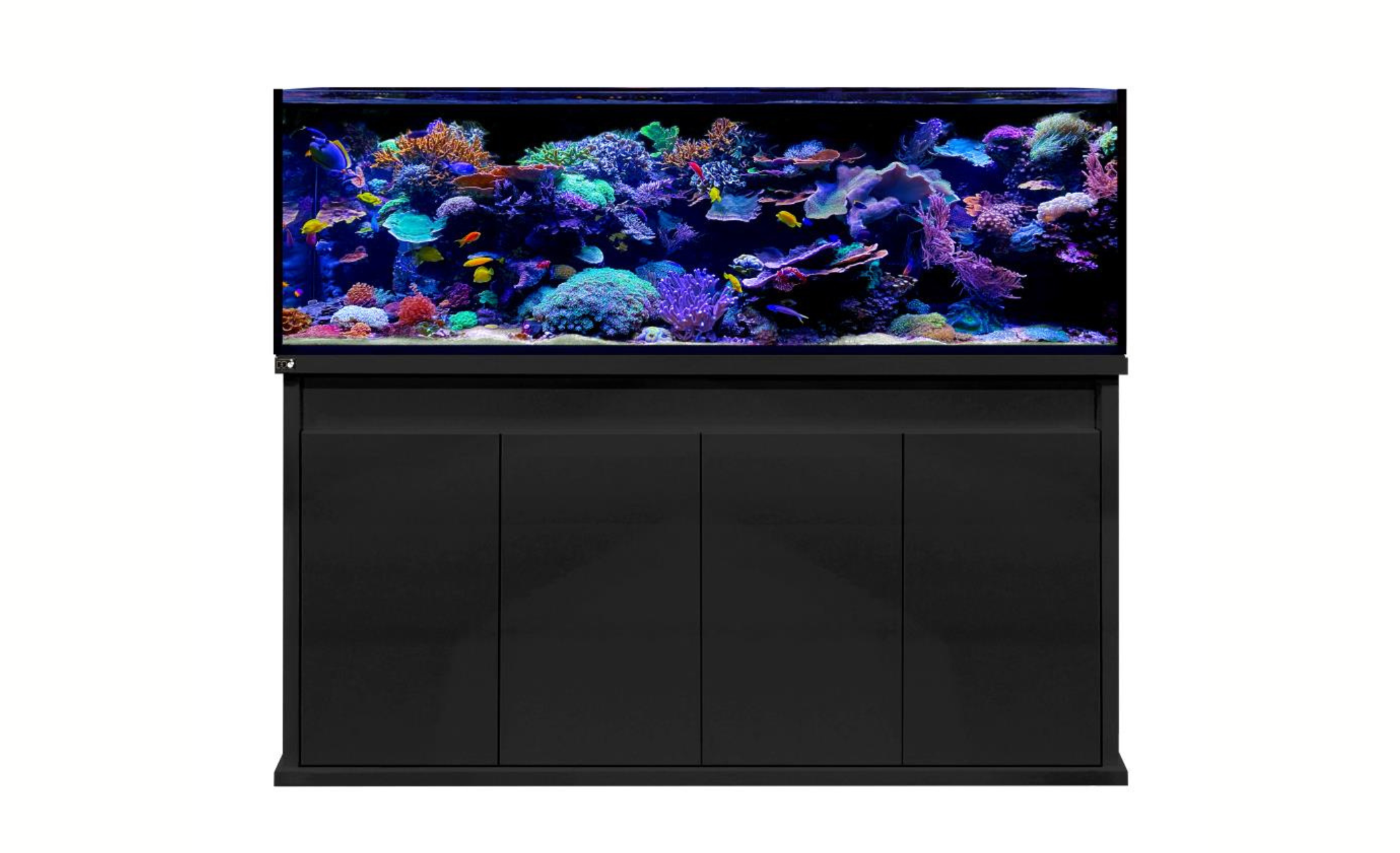 D-D Reef-Pro 1800 Black Gloss Aquariumsystem 180x60x56cm