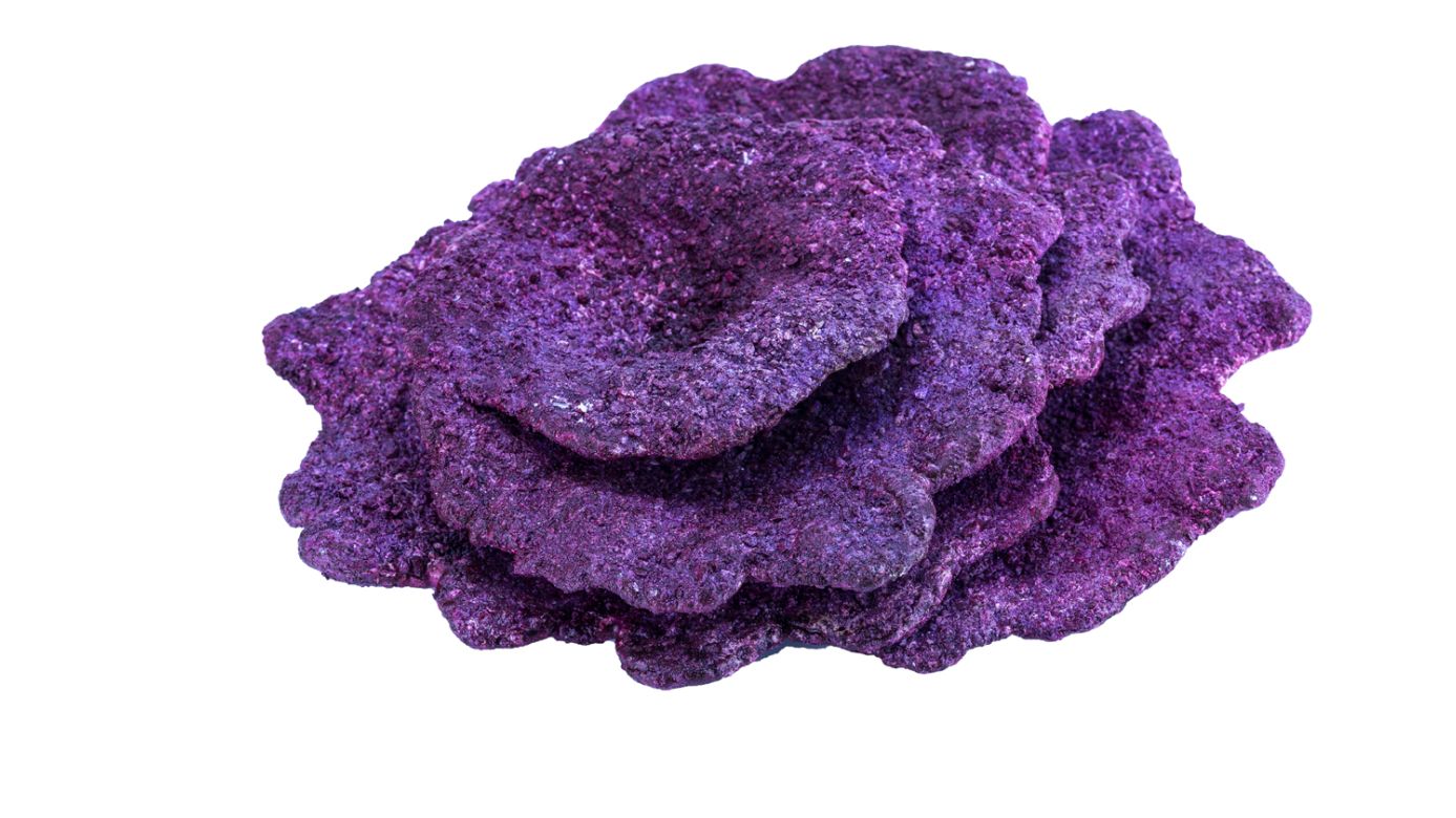 Real Reef Plate Corals (10 St.) 25 kg