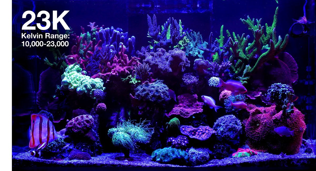 *NEU* Red Sea ReefLED G2 170 (170W) (R35930EUR)