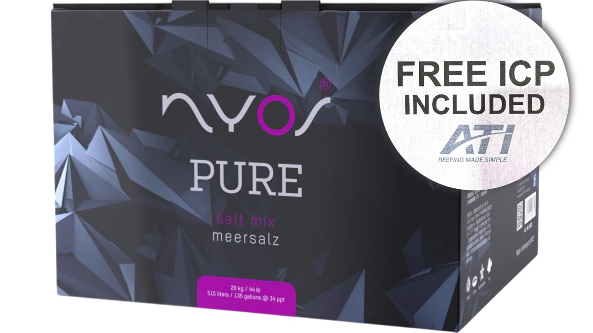 AKTION + Free-ICP: Nyos Pure Meersalz 20 kg Karton