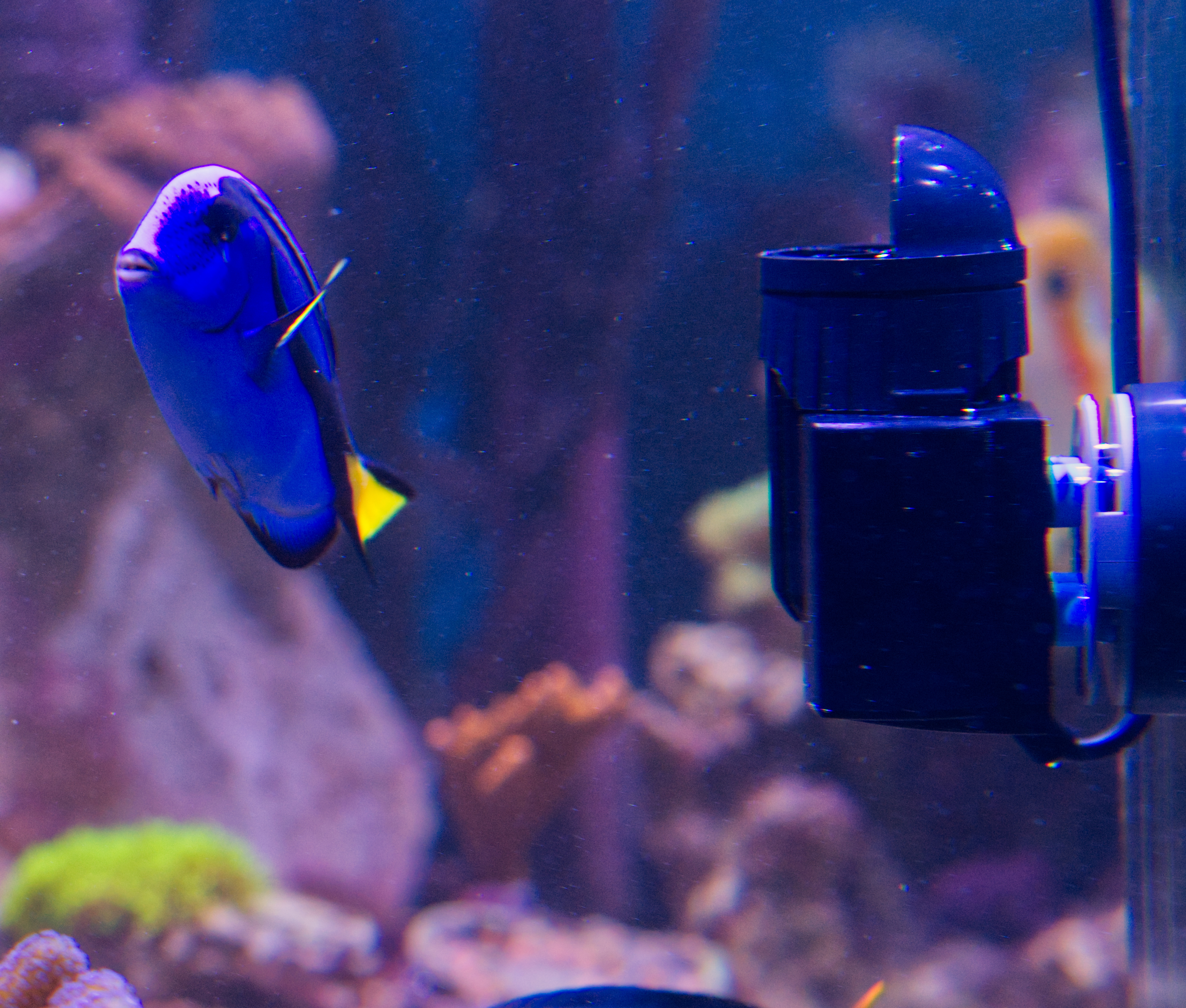 Tunze Turbelle Nanostream 6040 Strömungspumpe HUB Edition (200-4500 l/h) (6040.005)