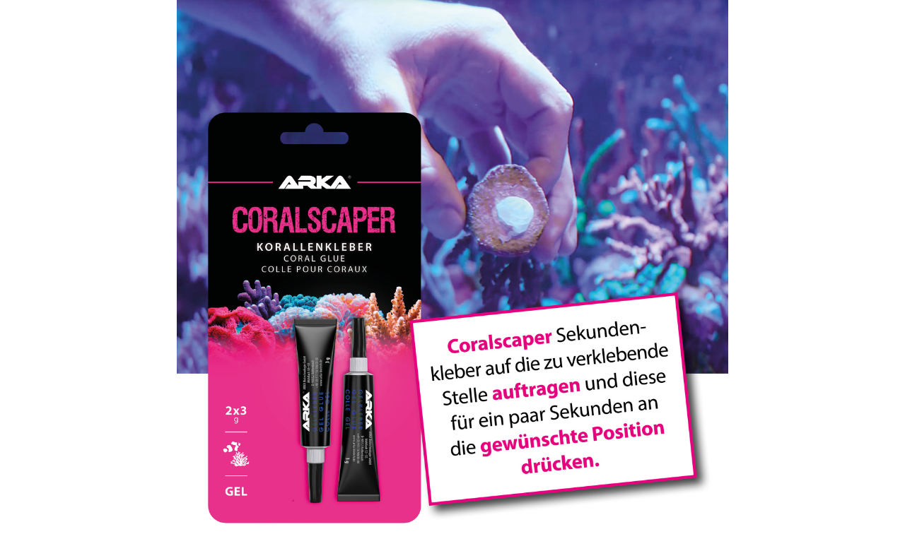 ARKA Coralscaper Gel Korallenkleber Sekundenkleber 2x3 g