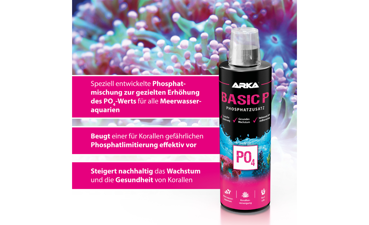 ARKA Basic P Phosphat Plus 118 ml