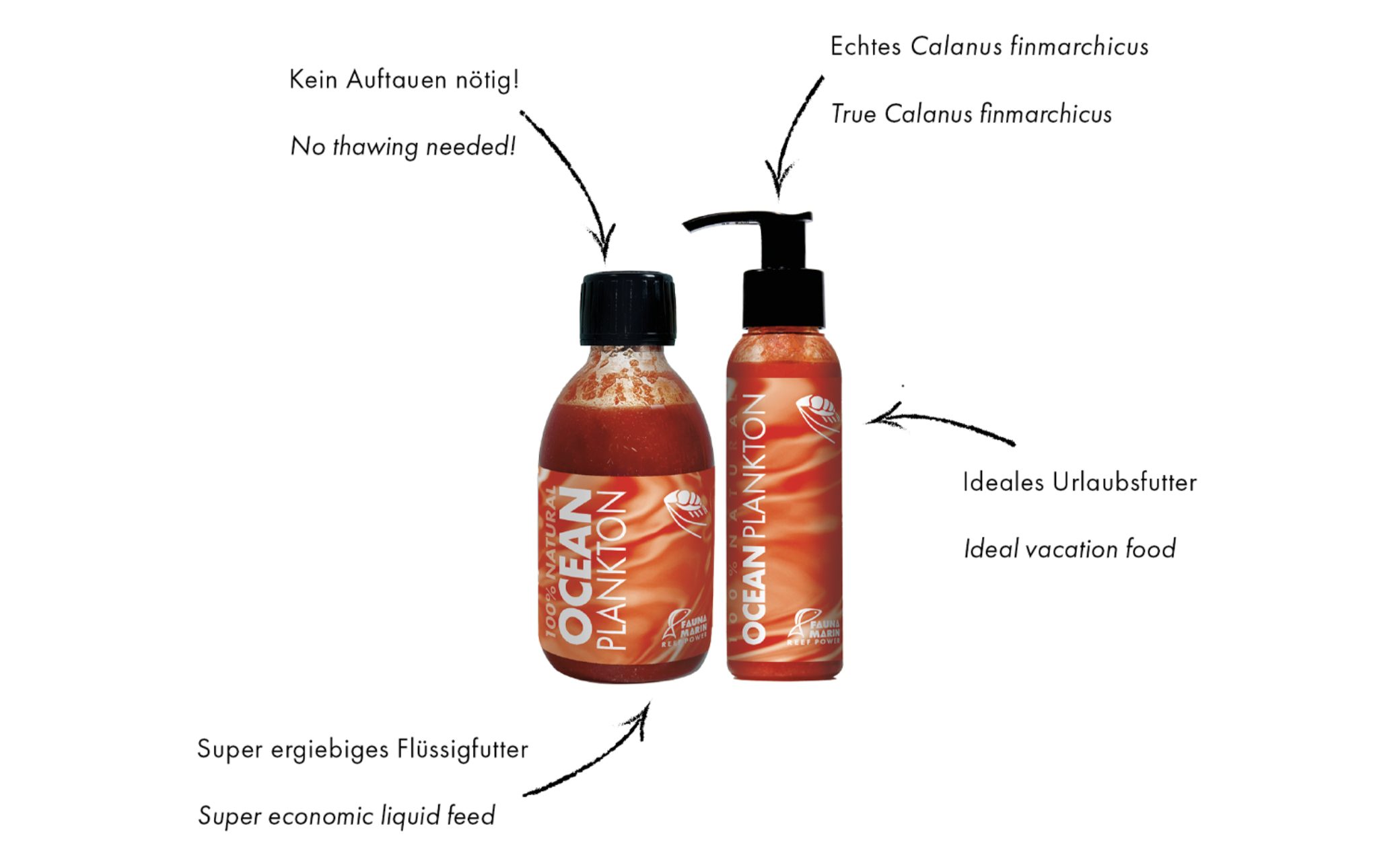 Fauna Marin Ocean Plankton echtes Calanus Plankton 250 ml