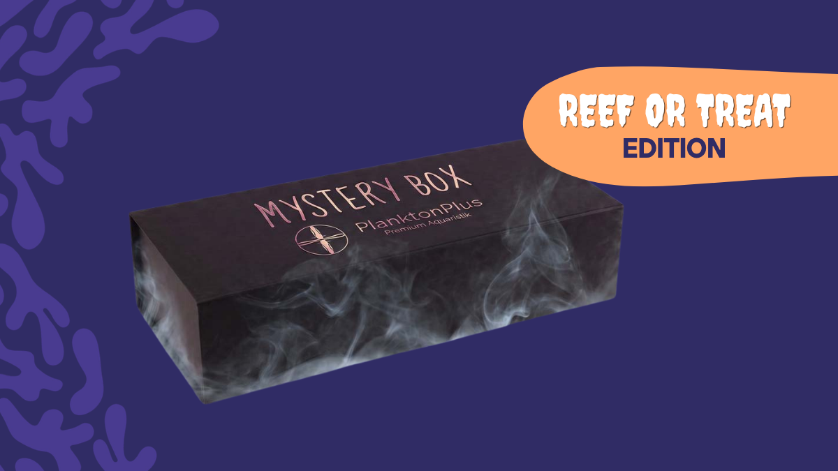 PlanktonPlus MYSTERY BOX bei Reef or Treat