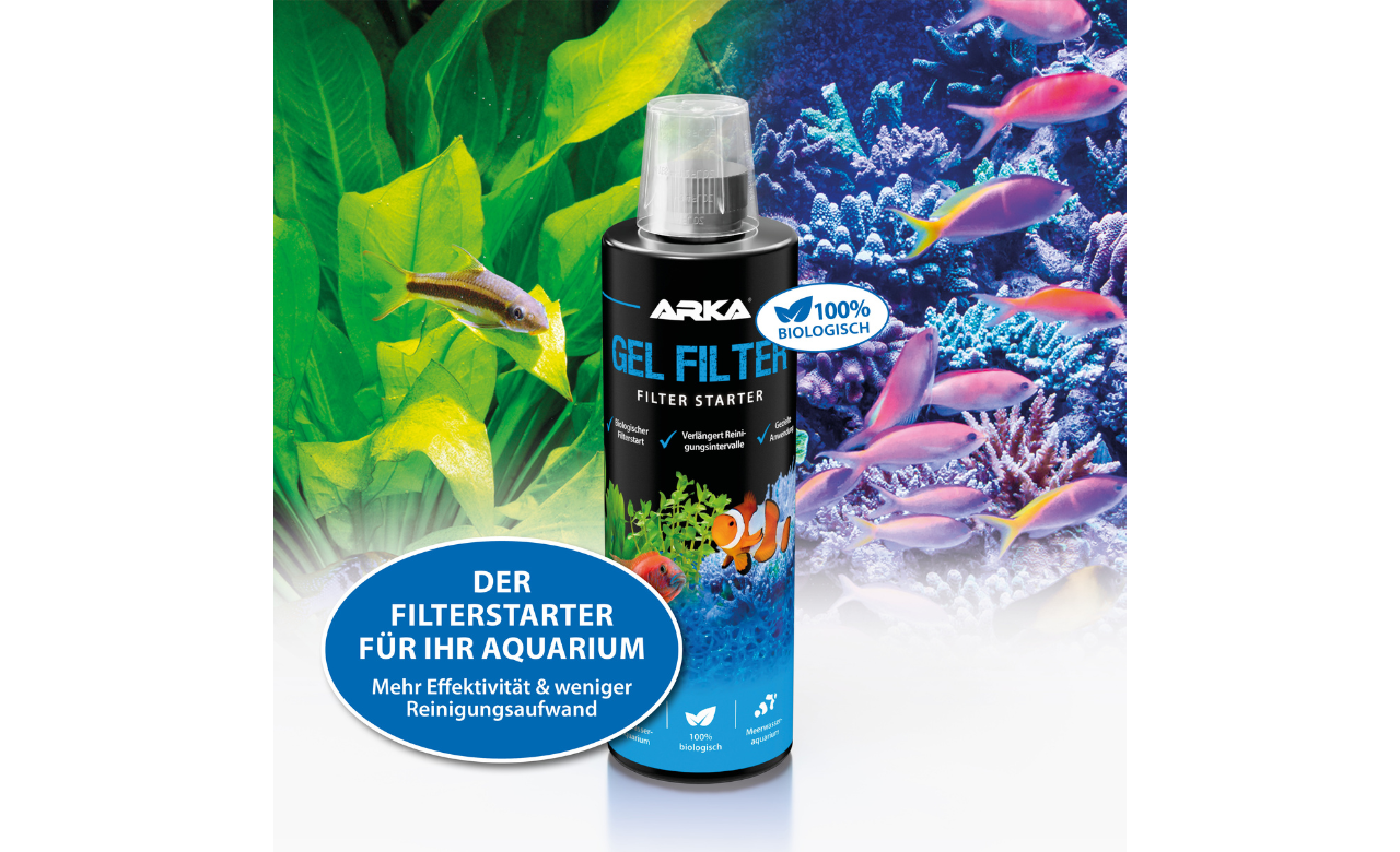 ARKA Gel Starter Filter Starter 118 ml MHD 02/2026