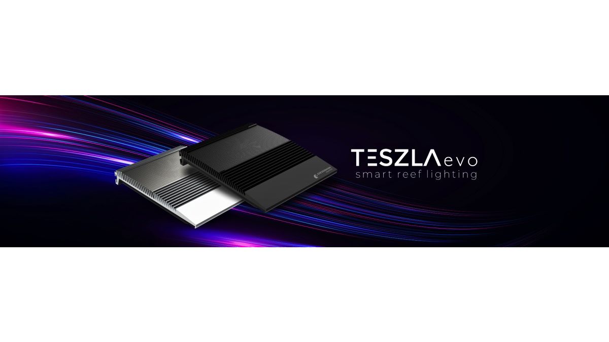 Giesemann TESZLA evo marine silber (90 W)