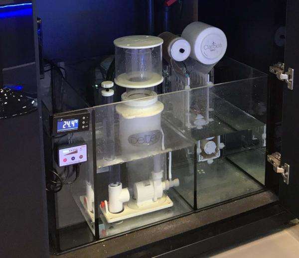 D-D Reef-Pro 900 D-LUX Anthrazit Gloss Aquarium inkl. Beleuchtung, Riffaufbau, Salz D-D Reef-Pro 900 D-LUX Anthrazit Gloss Aquarium inkl. Beleuchtung, Riffaufbau, Salz