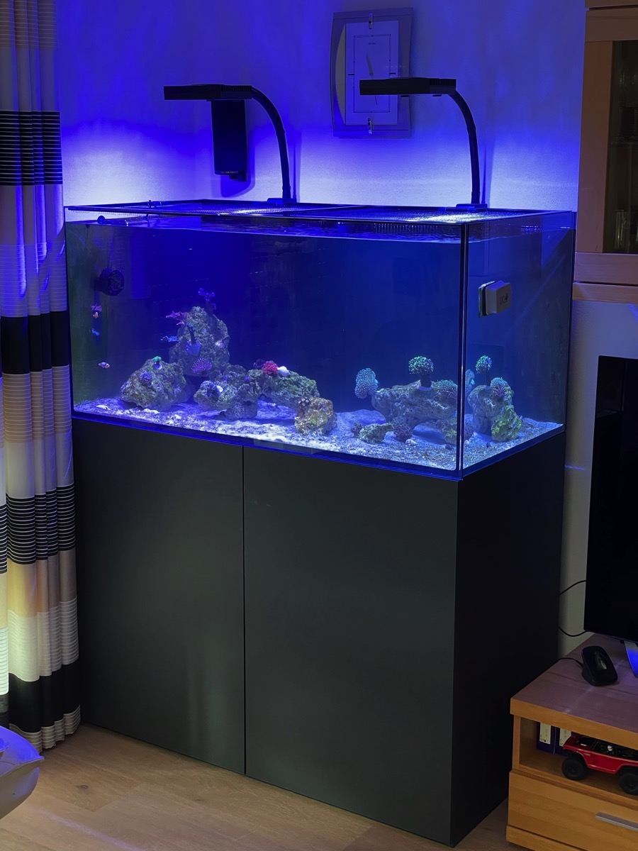 D-D AQUA-Pro Reef 1200 Black Satin 120x60x56cm Aquariumsystem mit Holzschrank