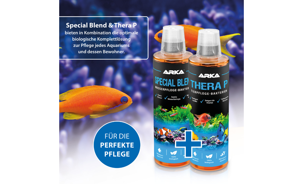 ARKA Thera P Tierpflege Bakterien 473 ml