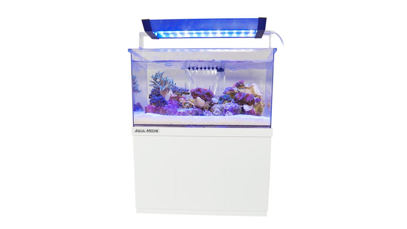 Aqua Medic Armatus XS (26,5x17x15 cm) Microaquarium 4 L