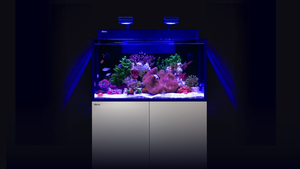 Aussteller: 1x Red Sea MAX NANO G2 XXL inkl. schwarzer Unterschrank (R40090G2-EUR)