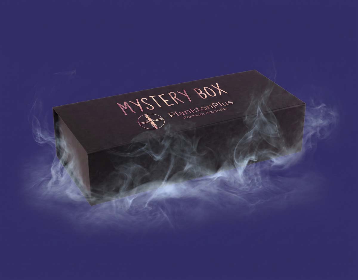 Mystery Box