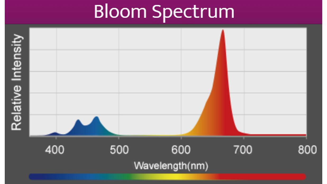 Kessil A360X Refugium LED (max. 90 W)