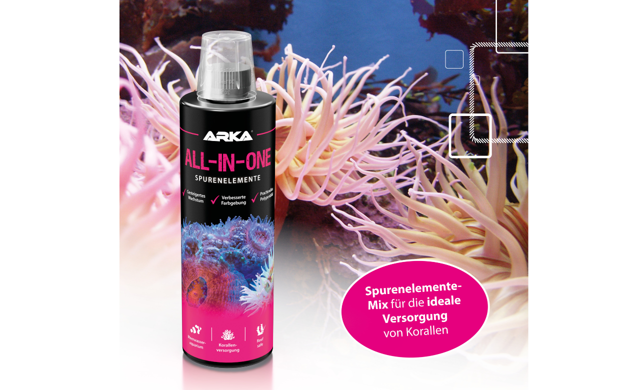 ARKA All in One Spurenelemente Versorgung 118 ml