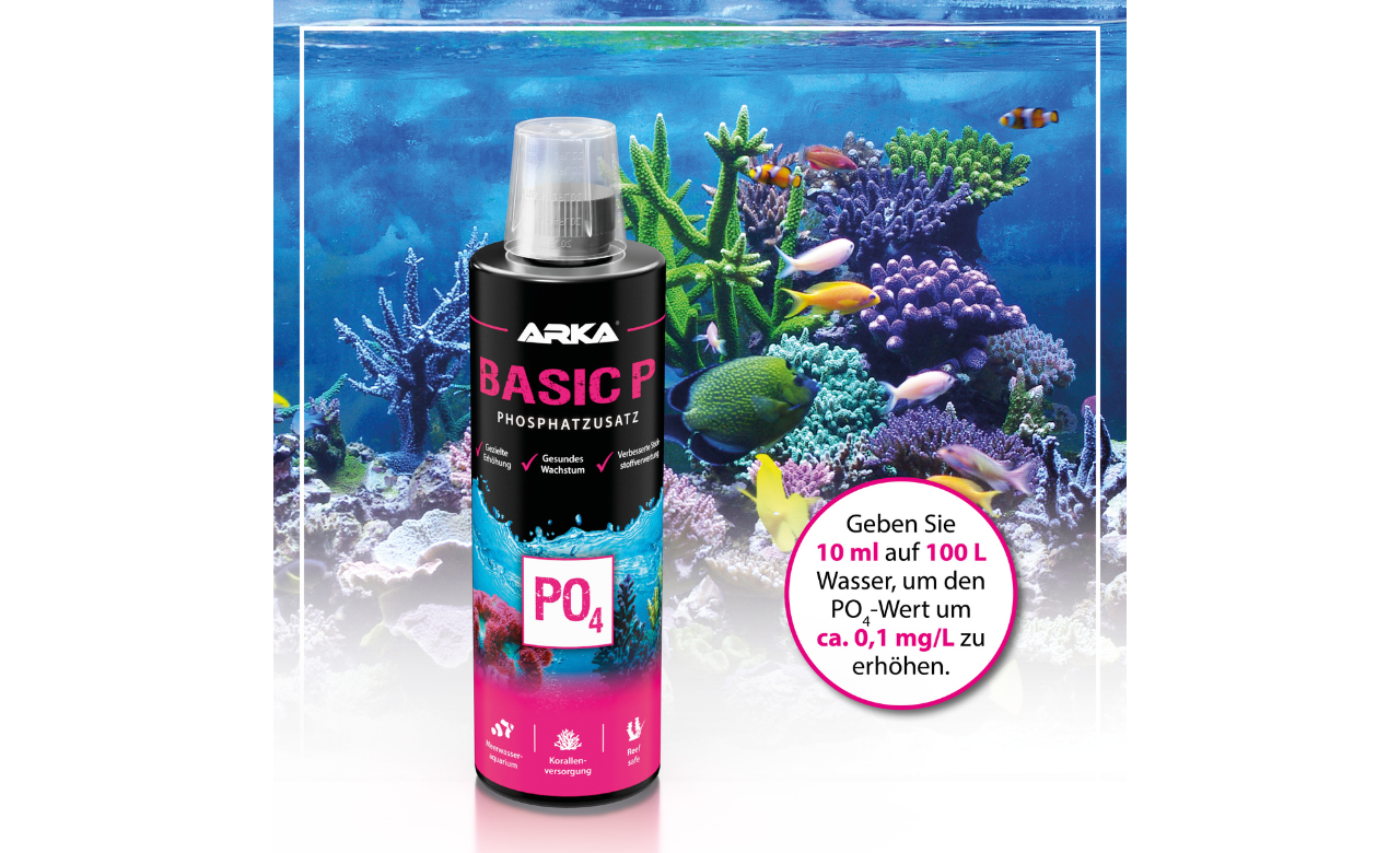 ARKA Basic P Phosphat Plus 118 ml